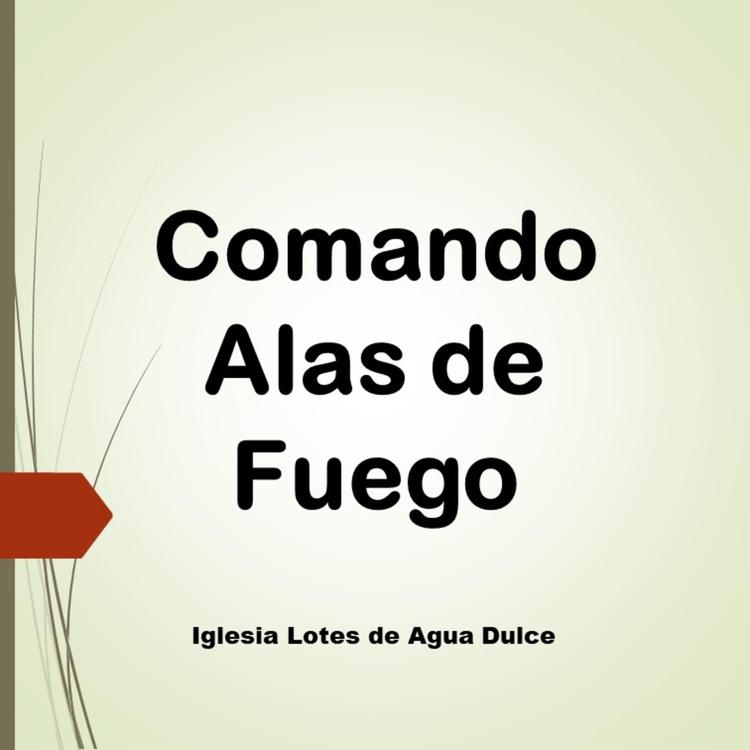 COMANDO ALAS DE FUEGO's avatar image