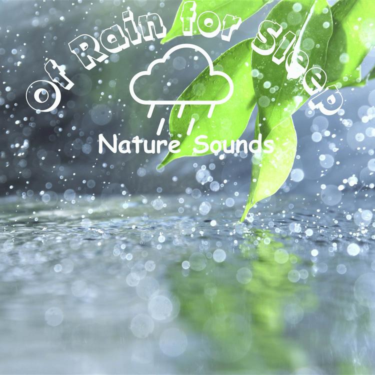 Nature Sounds Of Rain For Sleep's avatar image