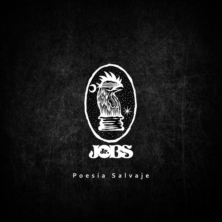 Jr Jobs's avatar image
