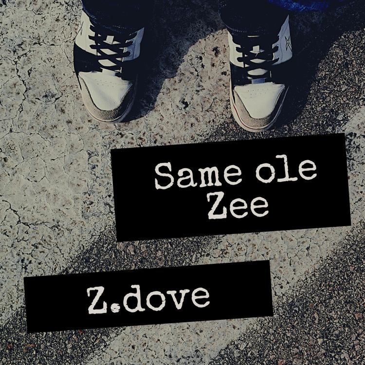 Z.Dove's avatar image