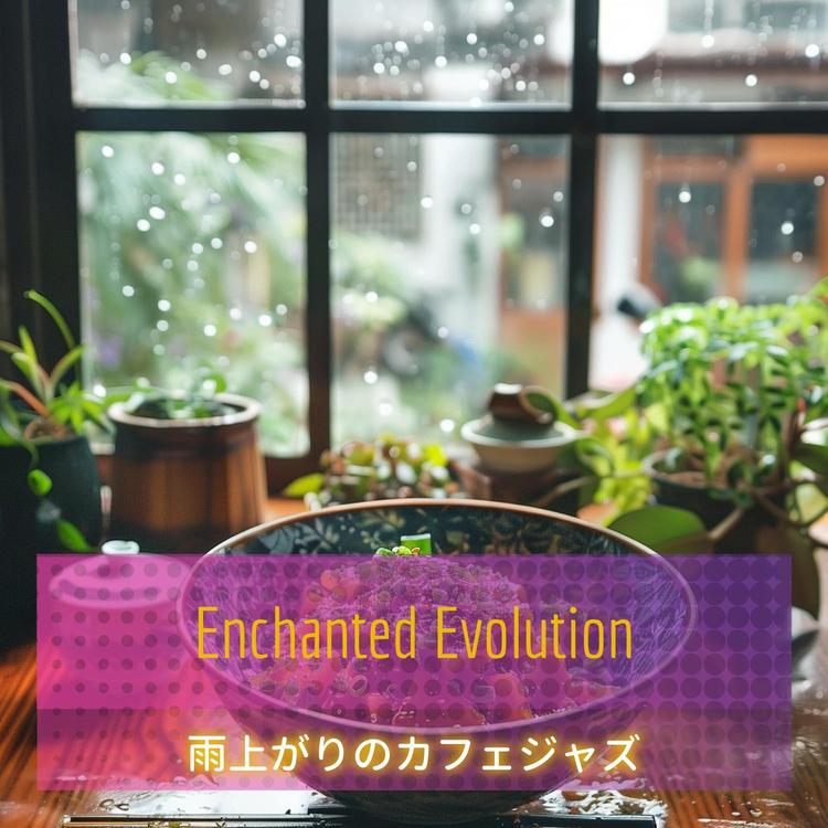 Enchanted Evolution's avatar image