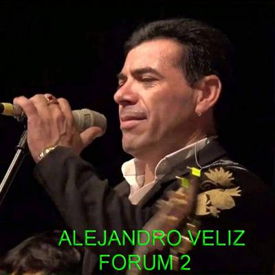 Te Perdiste Mi Amor By Alejandro Veliz's cover