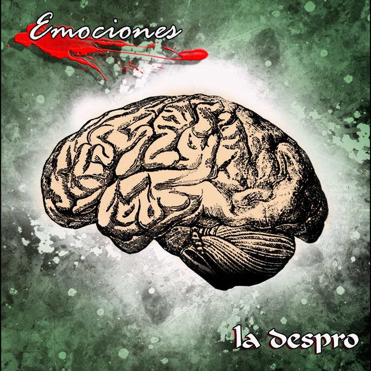 La Despro Rock's avatar image