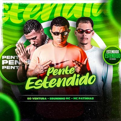 Pente Estendido's cover