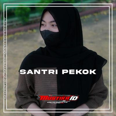 Satri Pekok's cover