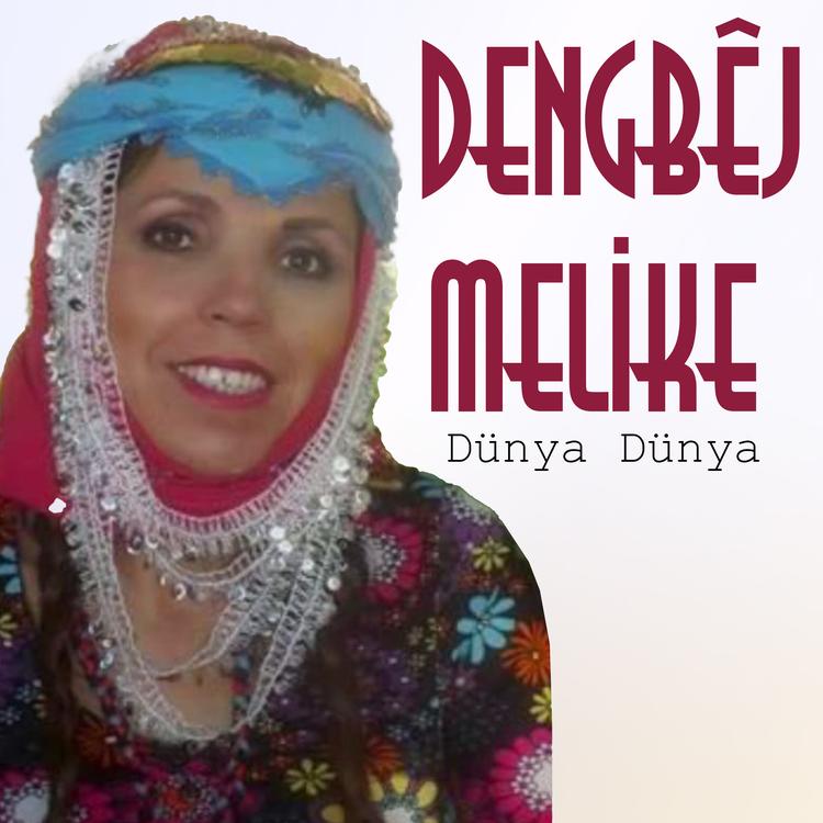 Dengbej Melike's avatar image