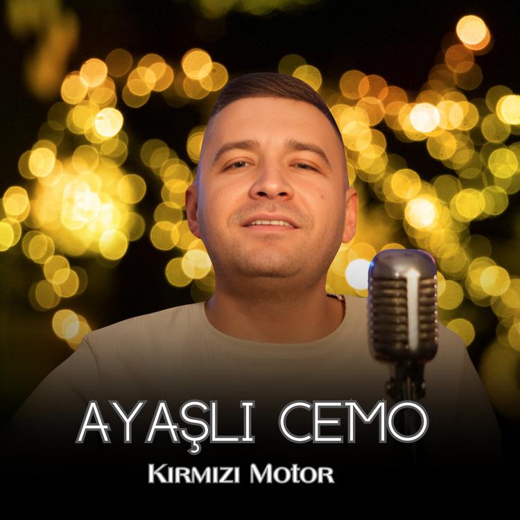 Ayaşlı Cemo's avatar image