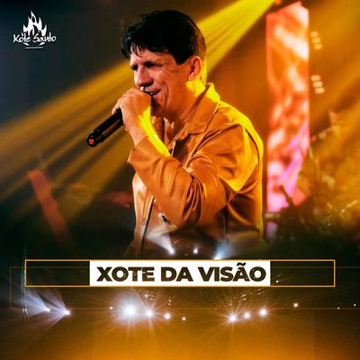 Xote da Visão (Ao Vivo) By Xote Santo's cover