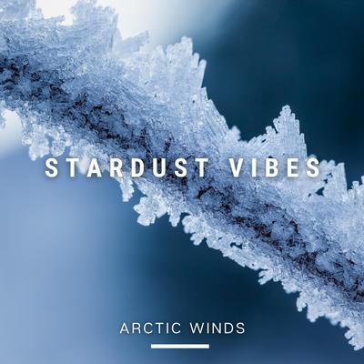 Stardust Vibes's cover