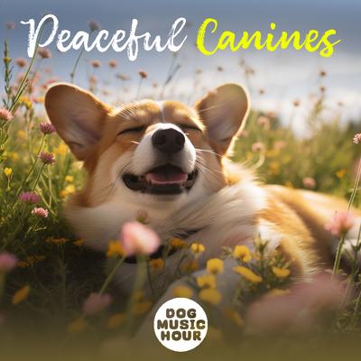 Dog Music Hour's cover