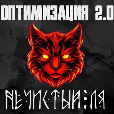 Оптимизация2.0's cover