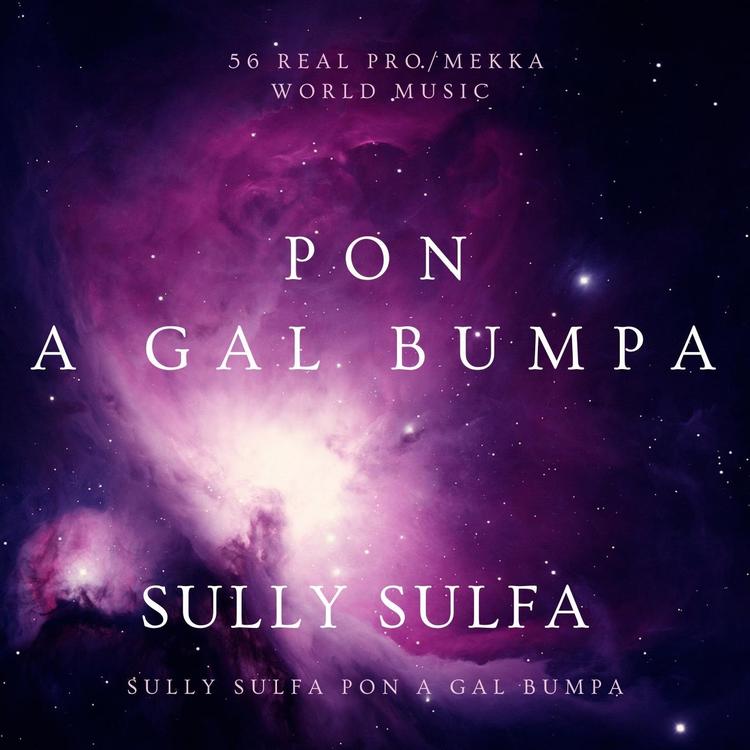 Sully Sulfa's avatar image