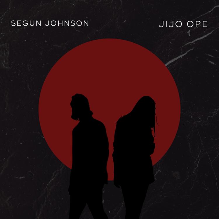 Segun Johnson's avatar image