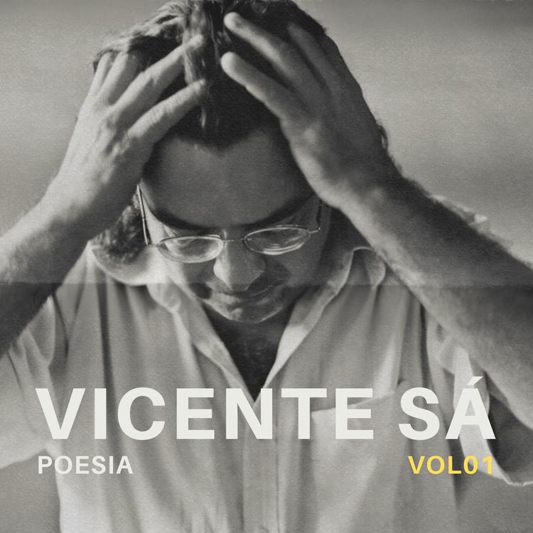 Vicente Sá's avatar image