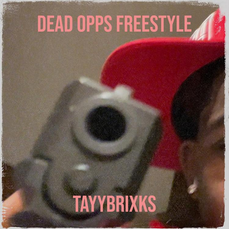 TayyBrixks's avatar image