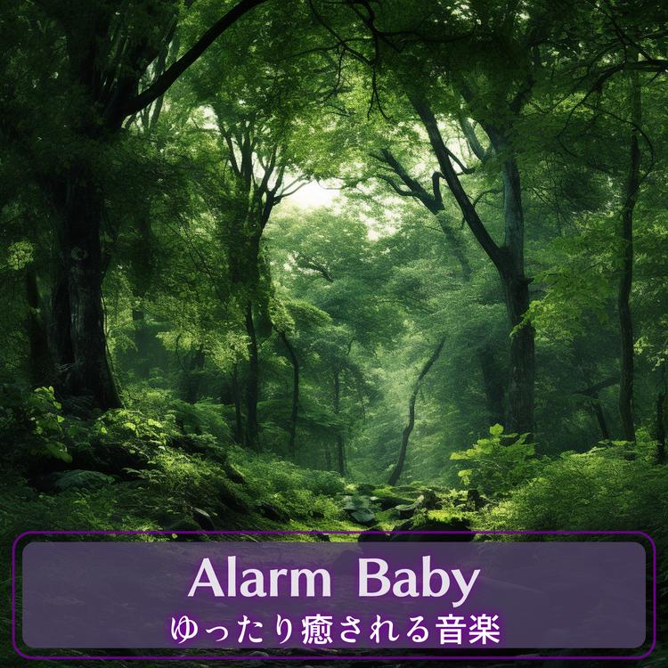 Alarm Baby's avatar image