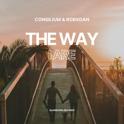 The Way I Are (Techno Remix) By Consilium, RobxDan's cover