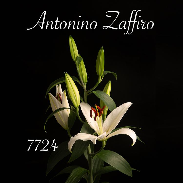 Antonino Zaffiro's avatar image