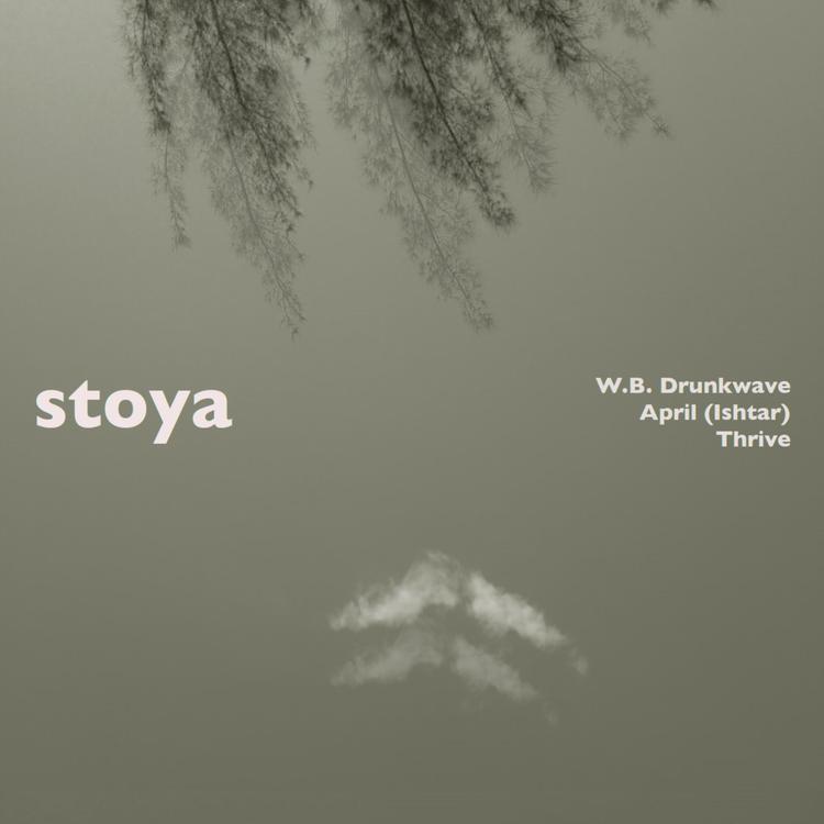 Stoya's avatar image