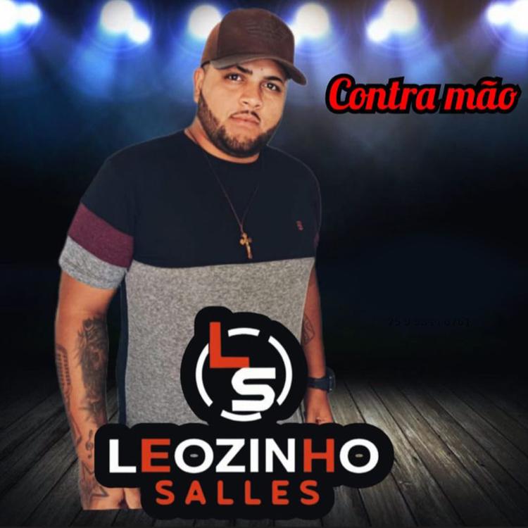 Leozinho Salles's avatar image