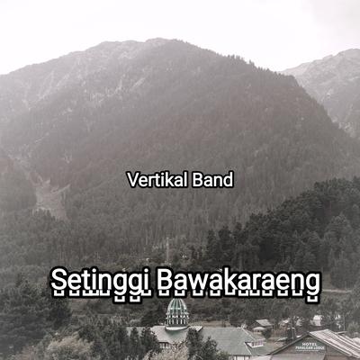 Vertikal band's cover