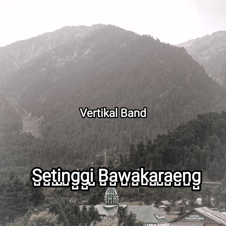 Vertikal band's avatar image