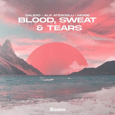 Blood, Sweat & Tears By DALEXO, Alp Atesoglu, Moise's cover