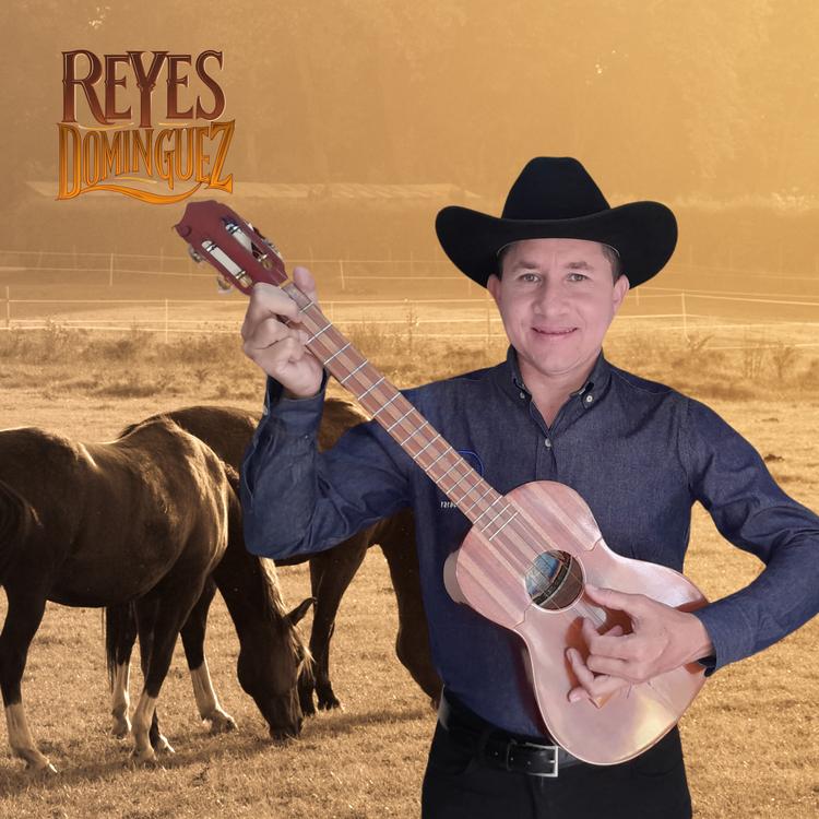 REYES DOMÍNGUEZ's avatar image