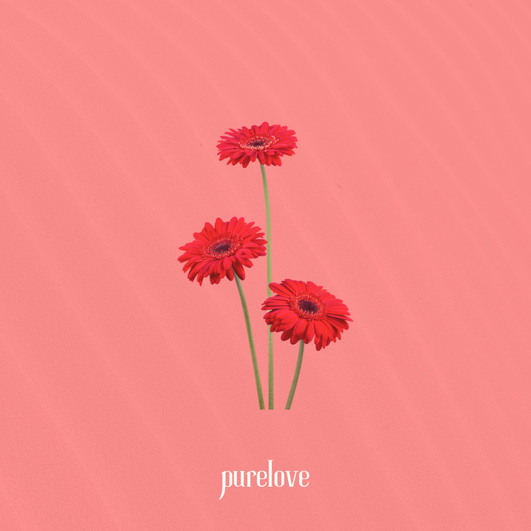 PureLove's avatar image