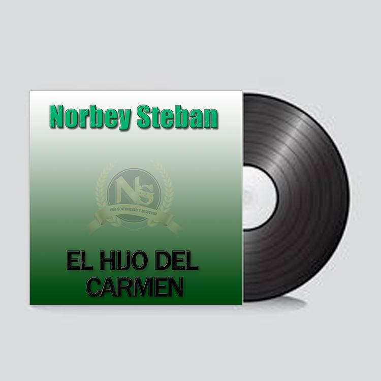 Norbey Steban's avatar image