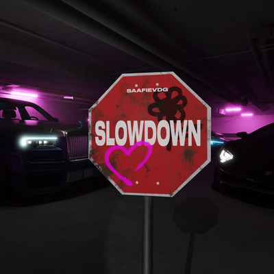 SLOWDOWN's cover