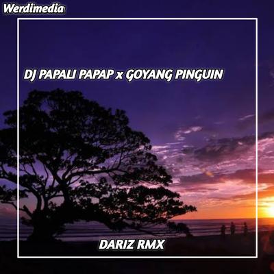 DJ PAPALI PAPAP x GOYANG PINGUIN's cover
