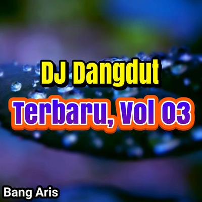 DJ Dangdut Terbaru, Vol. 03's cover