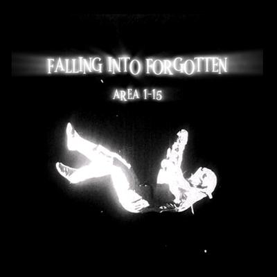 FALLING INTO FORGOTTEN's cover