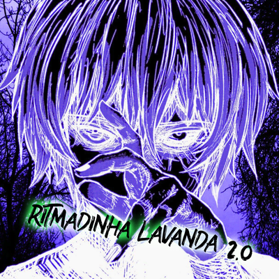 RITMADINHA LAVANDA 2.0 (SLOWED)'s cover