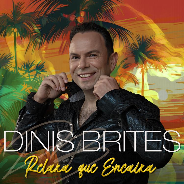 Dinis Brites's avatar image