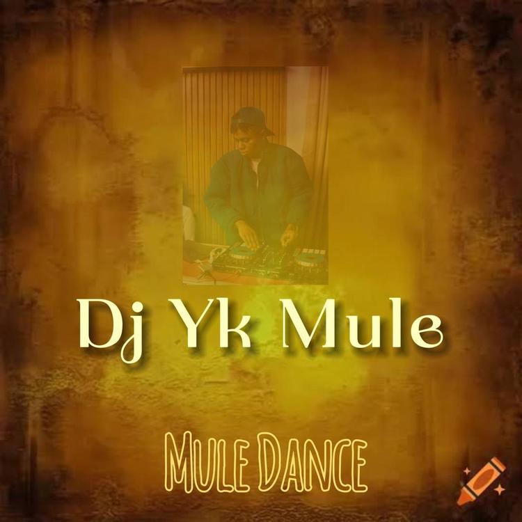 Dj Yk Mule's avatar image