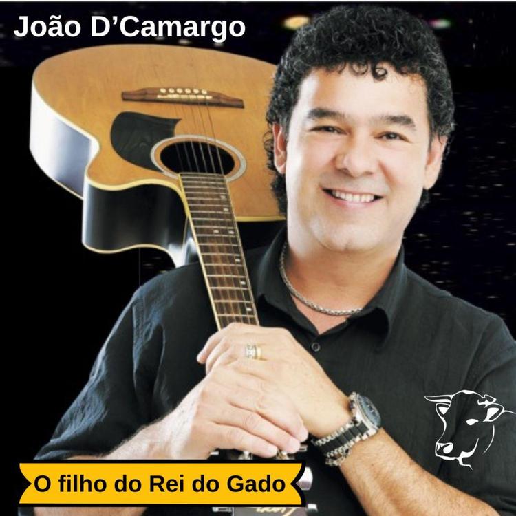 Joao D Camargo's avatar image