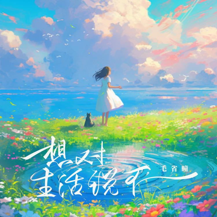 毛省曈's avatar image