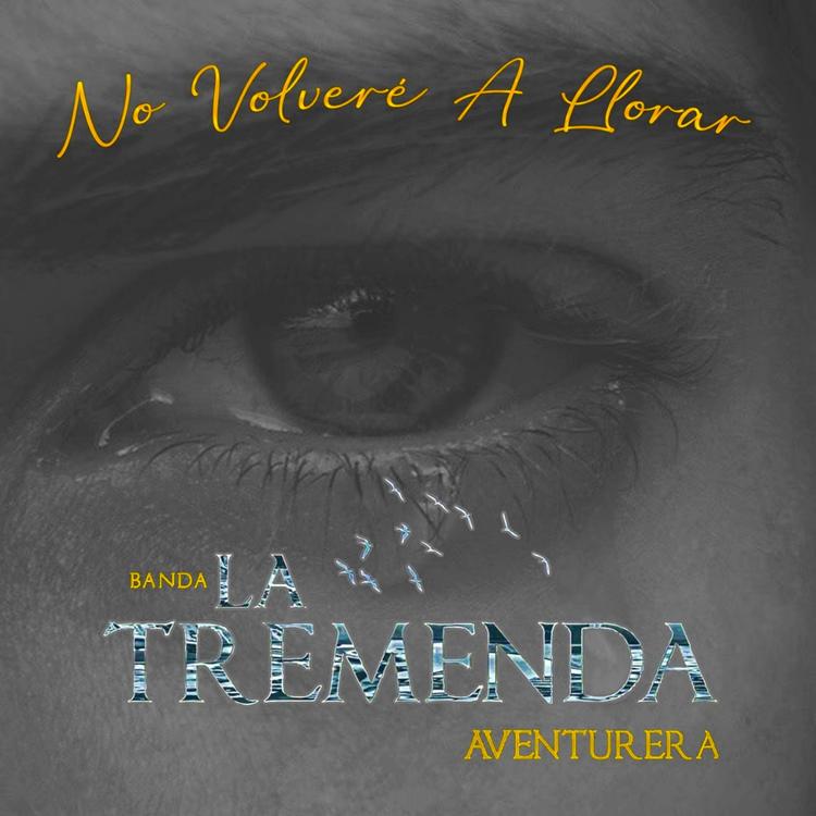 Banda La Tremenda Aventurera's avatar image