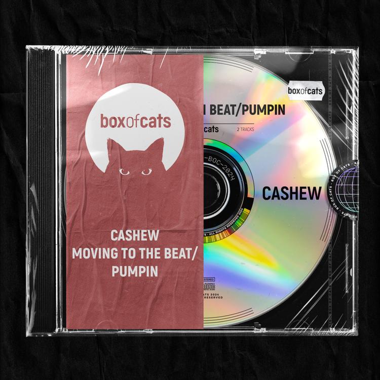 Cashew's avatar image