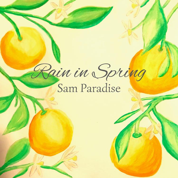 Sam Paradise's avatar image