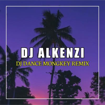 DJ Dance Monkey's cover