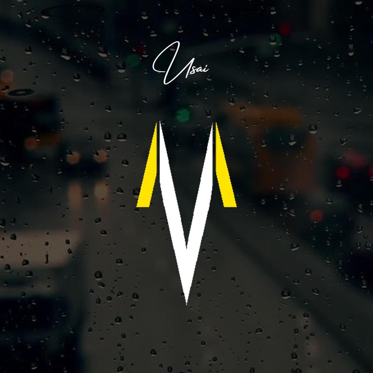 Morning Vibes's avatar image