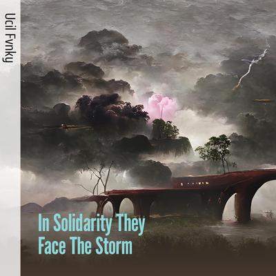 In Solidarity They Face the Storm's cover