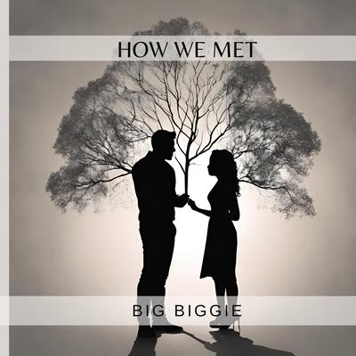 How We Met's cover