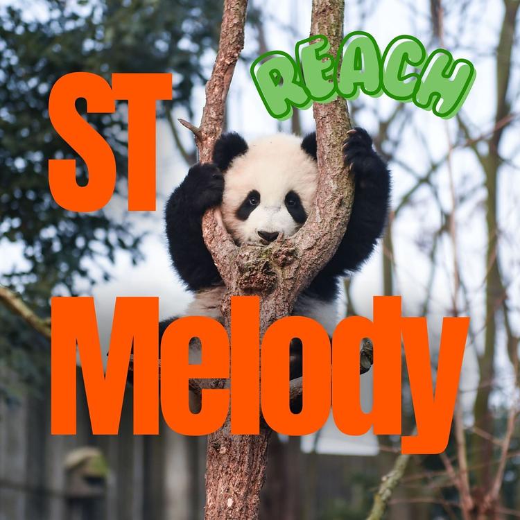 St Melody's avatar image