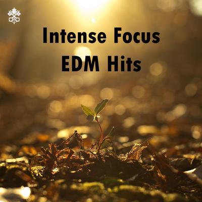 Intense Focus EDM Hits's cover