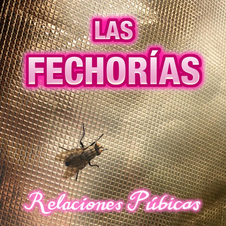 LAS FECHORÍAS's avatar image