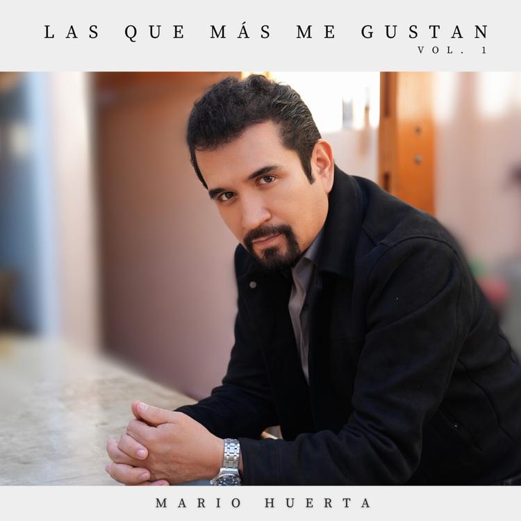 Mario Huerta's avatar image